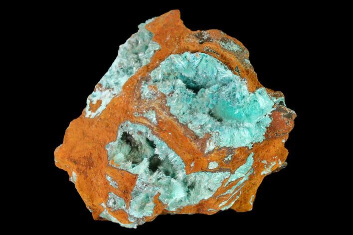 Fibrous Rosasite & Aurichalcite Crystal Association - Mexico #144560